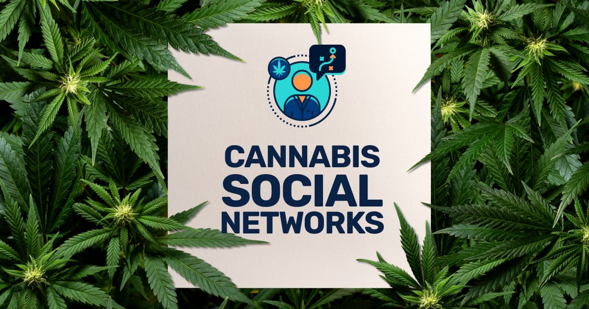 5 Cannabis Business Social Networks