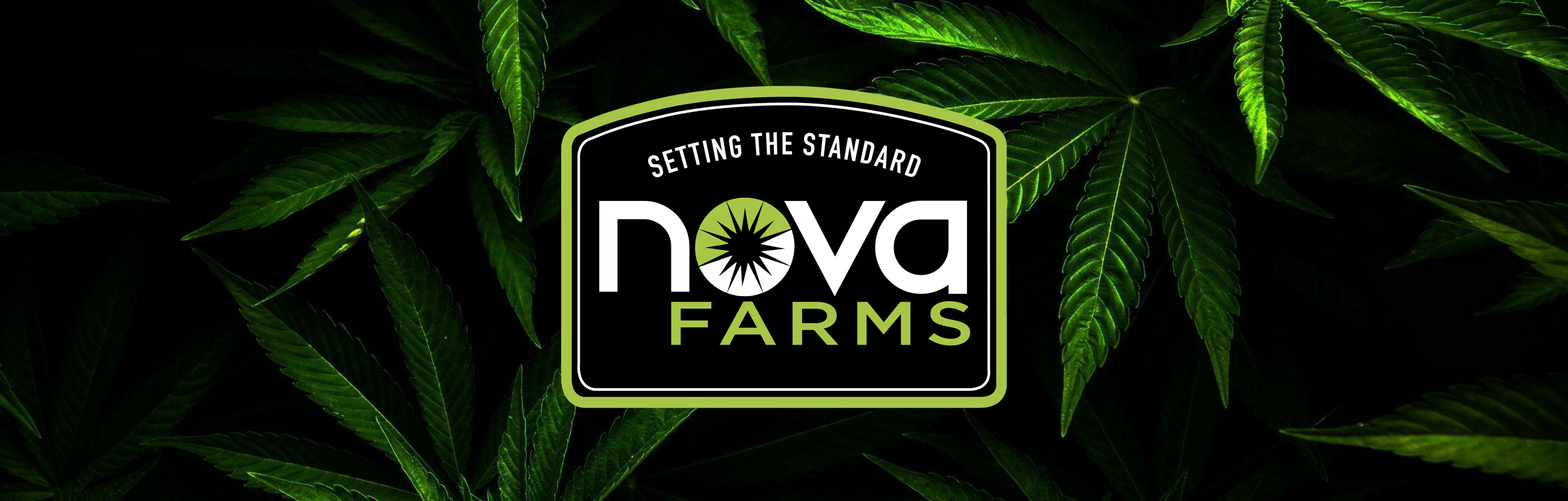 NOVA FARMS